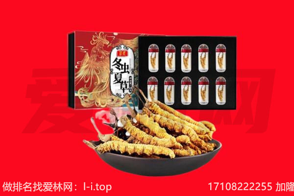 上海市青浦回收虫草.jpg